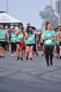 BIB: 83382, 50146, 83367, 81378
                            <button type="button" onclick="openModal(12214892)" class="btn btn-primary btn-sm float-right btn-popup" data-toggle="modal" data-target=".modal-high-quality">
                        <i class="fas fa-shopping-cart"></i> Add to Cart
                    </button>
                                            <button type="button" onclick="isThisMe(12214892, true)" class="btn btn-success btn-sm float-right btn-popup btn-isme hidden" data-toggle="tooltip" data-placement="bottom" title="นี่คือรูปของคุณใช่ไหม คลิกที่นี่เพื่อเอาเข้าอัลบั้ม">
                        <i class="fas fa-plus"></i> Add to album
                    </button>
                    <button type="button" onclick="isThisMe(12214892, false)" class="btn btn-warning btn-sm float-right btn-popup btn-isnotme hidden">
                        <i class="fas fa-ban"></i> Remove from album
                    </button>