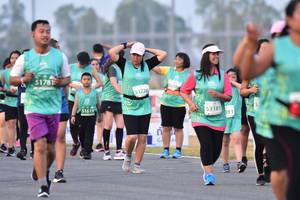 BIB: 51781, 53226, 51619, 53183, 893
                            <button type="button" onclick="openModal(12233525)" class="btn btn-primary btn-sm float-right btn-popup" data-toggle="modal" data-target=".modal-high-quality">
                        <i class="fas fa-shopping-cart"></i> Add to Cart
                    </button>
                                            <button type="button" onclick="isThisMe(12233525, true)" class="btn btn-success btn-sm float-right btn-popup btn-isme hidden" data-toggle="tooltip" data-placement="bottom" title="นี่คือรูปของคุณใช่ไหม คลิกที่นี่เพื่อเอาเข้าอัลบั้ม">
                        <i class="fas fa-plus"></i> Add to album
                    </button>
                    <button type="button" onclick="isThisMe(12233525, false)" class="btn btn-warning btn-sm float-right btn-popup btn-isnotme hidden">
                        <i class="fas fa-ban"></i> Remove from album
                    </button>