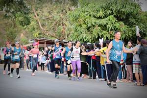 BIB: 41594, 43660
                            <button type="button" onclick="openModal(12734972)" class="btn btn-primary btn-sm float-right btn-popup" data-toggle="modal" data-target=".modal-high-quality">
                        <i class="fas fa-shopping-cart"></i> Add to Cart
                    </button>
                                            <button type="button" onclick="isThisMe(12734972, true)" class="btn btn-success btn-sm float-right btn-popup btn-isme hidden" data-toggle="tooltip" data-placement="bottom" title="นี่คือรูปของคุณใช่ไหม คลิกที่นี่เพื่อเอาเข้าอัลบั้ม">
                        <i class="fas fa-plus"></i> Add to album
                    </button>
                    <button type="button" onclick="isThisMe(12734972, false)" class="btn btn-warning btn-sm float-right btn-popup btn-isnotme hidden">
                        <i class="fas fa-ban"></i> Remove from album
                    </button>