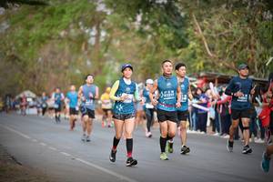 BIB: 81919, 34843
                            <button type="button" onclick="openModal(12733409)" class="btn btn-primary btn-sm float-right btn-popup" data-toggle="modal" data-target=".modal-high-quality">
                        <i class="fas fa-shopping-cart"></i> Add to Cart
                    </button>
                                            <button type="button" onclick="isThisMe(12733409, true)" class="btn btn-success btn-sm float-right btn-popup btn-isme hidden" data-toggle="tooltip" data-placement="bottom" title="นี่คือรูปของคุณใช่ไหม คลิกที่นี่เพื่อเอาเข้าอัลบั้ม">
                        <i class="fas fa-plus"></i> Add to album
                    </button>
                    <button type="button" onclick="isThisMe(12733409, false)" class="btn btn-warning btn-sm float-right btn-popup btn-isnotme hidden">
                        <i class="fas fa-ban"></i> Remove from album
                    </button>