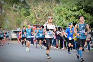 BIB: 40572, 41879, 40822
                            <button type="button" onclick="openModal(12735471)" class="btn btn-primary btn-sm float-right btn-popup" data-toggle="modal" data-target=".modal-high-quality">
                        <i class="fas fa-shopping-cart"></i> Add to Cart
                    </button>
                                            <button type="button" onclick="isThisMe(12735471, true)" class="btn btn-success btn-sm float-right btn-popup btn-isme hidden" data-toggle="tooltip" data-placement="bottom" title="นี่คือรูปของคุณใช่ไหม คลิกที่นี่เพื่อเอาเข้าอัลบั้ม">
                        <i class="fas fa-plus"></i> Add to album
                    </button>
                    <button type="button" onclick="isThisMe(12735471, false)" class="btn btn-warning btn-sm float-right btn-popup btn-isnotme hidden">
                        <i class="fas fa-ban"></i> Remove from album
                    </button>