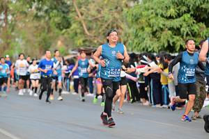 BIB: 45034, 42530
                            <button type="button" onclick="openModal(12548142)" class="btn btn-primary btn-sm float-right btn-popup" data-toggle="modal" data-target=".modal-high-quality">
                        <i class="fas fa-shopping-cart"></i> Add to Cart
                    </button>
                                            <button type="button" onclick="isThisMe(12548142, true)" class="btn btn-success btn-sm float-right btn-popup btn-isme hidden" data-toggle="tooltip" data-placement="bottom" title="นี่คือรูปของคุณใช่ไหม คลิกที่นี่เพื่อเอาเข้าอัลบั้ม">
                        <i class="fas fa-plus"></i> Add to album
                    </button>
                    <button type="button" onclick="isThisMe(12548142, false)" class="btn btn-warning btn-sm float-right btn-popup btn-isnotme hidden">
                        <i class="fas fa-ban"></i> Remove from album
                    </button>