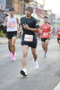 BIB: 26509, 24442
                            <button type="button" onclick="openModal(12409833)" class="btn btn-primary btn-sm float-right btn-popup" data-toggle="modal" data-target=".modal-high-quality">
                        <i class="fas fa-shopping-cart"></i> Add to Cart
                    </button>
                                            <button type="button" onclick="isThisMe(12409833, true)" class="btn btn-success btn-sm float-right btn-popup btn-isme hidden" data-toggle="tooltip" data-placement="bottom" title="นี่คือรูปของคุณใช่ไหม คลิกที่นี่เพื่อเอาเข้าอัลบั้ม">
                        <i class="fas fa-plus"></i> Add to album
                    </button>
                    <button type="button" onclick="isThisMe(12409833, false)" class="btn btn-warning btn-sm float-right btn-popup btn-isnotme hidden">
                        <i class="fas fa-ban"></i> Remove from album
                    </button>