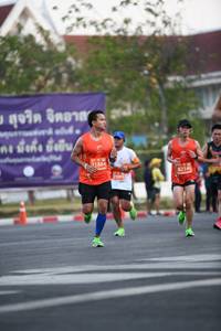 BIB: 21884, 82140, 21095
                            <button type="button" onclick="openModal(12615117)" class="btn btn-primary btn-sm float-right btn-popup" data-toggle="modal" data-target=".modal-high-quality">
                        <i class="fas fa-shopping-cart"></i> Add to Cart
                    </button>
                                            <button type="button" onclick="isThisMe(12615117, true)" class="btn btn-success btn-sm float-right btn-popup btn-isme hidden" data-toggle="tooltip" data-placement="bottom" title="นี่คือรูปของคุณใช่ไหม คลิกที่นี่เพื่อเอาเข้าอัลบั้ม">
                        <i class="fas fa-plus"></i> Add to album
                    </button>
                    <button type="button" onclick="isThisMe(12615117, false)" class="btn btn-warning btn-sm float-right btn-popup btn-isnotme hidden">
                        <i class="fas fa-ban"></i> Remove from album
                    </button>