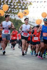 BIB: 81946
                            <button type="button" onclick="openModal(10989585)" class="btn btn-primary btn-sm float-right btn-popup" data-toggle="modal" data-target=".modal-high-quality">
                        <i class="fas fa-shopping-cart"></i> Add to Cart
                    </button>
                                            <button type="button" onclick="isThisMe(10989585, true)" class="btn btn-success btn-sm float-right btn-popup btn-isme hidden" data-toggle="tooltip" data-placement="bottom" title="นี่คือรูปของคุณใช่ไหม คลิกที่นี่เพื่อเอาเข้าอัลบั้ม">
                        <i class="fas fa-plus"></i> Add to album
                    </button>
                    <button type="button" onclick="isThisMe(10989585, false)" class="btn btn-warning btn-sm float-right btn-popup btn-isnotme hidden">
                        <i class="fas fa-ban"></i> Remove from album
                    </button>