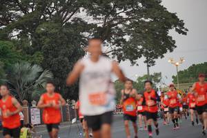 BIB: 
                            <button type="button" onclick="openModal(11590613)" class="btn btn-primary btn-sm float-right btn-popup" data-toggle="modal" data-target=".modal-high-quality">
                        <i class="fas fa-shopping-cart"></i> Add to Cart
                    </button>
                                            <button type="button" onclick="isThisMe(11590613, true)" class="btn btn-success btn-sm float-right btn-popup btn-isme hidden" data-toggle="tooltip" data-placement="bottom" title="นี่คือรูปของคุณใช่ไหม คลิกที่นี่เพื่อเอาเข้าอัลบั้ม">
                        <i class="fas fa-plus"></i> Add to album
                    </button>
                    <button type="button" onclick="isThisMe(11590613, false)" class="btn btn-warning btn-sm float-right btn-popup btn-isnotme hidden">
                        <i class="fas fa-ban"></i> Remove from album
                    </button>