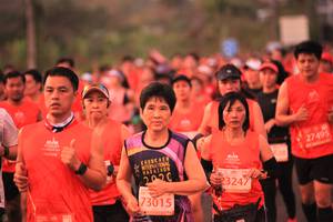 BIB: 27495, 2020, 23247, 73015
                            <button type="button" onclick="openModal(12754757)" class="btn btn-primary btn-sm float-right btn-popup" data-toggle="modal" data-target=".modal-high-quality">
                        <i class="fas fa-shopping-cart"></i> Add to Cart
                    </button>
                                            <button type="button" onclick="isThisMe(12754757, true)" class="btn btn-success btn-sm float-right btn-popup btn-isme hidden" data-toggle="tooltip" data-placement="bottom" title="นี่คือรูปของคุณใช่ไหม คลิกที่นี่เพื่อเอาเข้าอัลบั้ม">
                        <i class="fas fa-plus"></i> Add to album
                    </button>
                    <button type="button" onclick="isThisMe(12754757, false)" class="btn btn-warning btn-sm float-right btn-popup btn-isnotme hidden">
                        <i class="fas fa-ban"></i> Remove from album
                    </button>