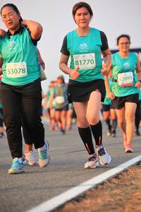 BIB: 81770, 53078, 52895
                            <button type="button" onclick="openModal(11879185)" class="btn btn-primary btn-sm float-right btn-popup" data-toggle="modal" data-target=".modal-high-quality">
                        <i class="fas fa-shopping-cart"></i> Add to Cart
                    </button>
                                            <button type="button" onclick="isThisMe(11879185, true)" class="btn btn-success btn-sm float-right btn-popup btn-isme hidden" data-toggle="tooltip" data-placement="bottom" title="นี่คือรูปของคุณใช่ไหม คลิกที่นี่เพื่อเอาเข้าอัลบั้ม">
                        <i class="fas fa-plus"></i> Add to album
                    </button>
                    <button type="button" onclick="isThisMe(11879185, false)" class="btn btn-warning btn-sm float-right btn-popup btn-isnotme hidden">
                        <i class="fas fa-ban"></i> Remove from album
                    </button>