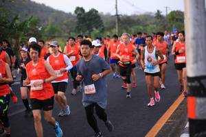 BIB: 5744, 385, 10090, 8268
                            <button type="button" onclick="openModal(12768089)" class="btn btn-primary btn-sm float-right btn-popup" data-toggle="modal" data-target=".modal-high-quality">
                        <i class="fas fa-shopping-cart"></i> Add to Cart
                    </button>
                                            <button type="button" onclick="isThisMe(12768089, true)" class="btn btn-success btn-sm float-right btn-popup btn-isme hidden" data-toggle="tooltip" data-placement="bottom" title="นี่คือรูปของคุณใช่ไหม คลิกที่นี่เพื่อเอาเข้าอัลบั้ม">
                        <i class="fas fa-plus"></i> Add to album
                    </button>
                    <button type="button" onclick="isThisMe(12768089, false)" class="btn btn-warning btn-sm float-right btn-popup btn-isnotme hidden">
                        <i class="fas fa-ban"></i> Remove from album
                    </button>