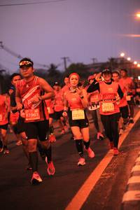 BIB: 29531, 81961, 23502, 
                            <button type="button" onclick="openModal(12711202)" class="btn btn-primary btn-sm float-right btn-popup" data-toggle="modal" data-target=".modal-high-quality">
                        <i class="fas fa-shopping-cart"></i> Add to Cart
                    </button>
                                            <button type="button" onclick="isThisMe(12711202, true)" class="btn btn-success btn-sm float-right btn-popup btn-isme hidden" data-toggle="tooltip" data-placement="bottom" title="นี่คือรูปของคุณใช่ไหม คลิกที่นี่เพื่อเอาเข้าอัลบั้ม">
                        <i class="fas fa-plus"></i> Add to album
                    </button>
                    <button type="button" onclick="isThisMe(12711202, false)" class="btn btn-warning btn-sm float-right btn-popup btn-isnotme hidden">
                        <i class="fas fa-ban"></i> Remove from album
                    </button>