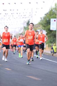 BIB: 20390, 20142
                            <button type="button" onclick="openModal(11025772)" class="btn btn-primary btn-sm float-right btn-popup" data-toggle="modal" data-target=".modal-high-quality">
                        <i class="fas fa-shopping-cart"></i> Add to Cart
                    </button>
                                            <button type="button" onclick="isThisMe(11025772, true)" class="btn btn-success btn-sm float-right btn-popup btn-isme hidden" data-toggle="tooltip" data-placement="bottom" title="นี่คือรูปของคุณใช่ไหม คลิกที่นี่เพื่อเอาเข้าอัลบั้ม">
                        <i class="fas fa-plus"></i> Add to album
                    </button>
                    <button type="button" onclick="isThisMe(11025772, false)" class="btn btn-warning btn-sm float-right btn-popup btn-isnotme hidden">
                        <i class="fas fa-ban"></i> Remove from album
                    </button>