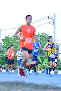 BIB: 
                            <button type="button" onclick="openModal(11516388)" class="btn btn-primary btn-sm float-right btn-popup" data-toggle="modal" data-target=".modal-high-quality">
                        <i class="fas fa-shopping-cart"></i> Add to Cart
                    </button>
                                            <button type="button" onclick="isThisMe(11516388, true)" class="btn btn-success btn-sm float-right btn-popup btn-isme hidden" data-toggle="tooltip" data-placement="bottom" title="นี่คือรูปของคุณใช่ไหม คลิกที่นี่เพื่อเอาเข้าอัลบั้ม">
                        <i class="fas fa-plus"></i> Add to album
                    </button>
                    <button type="button" onclick="isThisMe(11516388, false)" class="btn btn-warning btn-sm float-right btn-popup btn-isnotme hidden">
                        <i class="fas fa-ban"></i> Remove from album
                    </button>