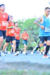 BIB: 219, 412, 20817
                            <button type="button" onclick="openModal(11510289)" class="btn btn-primary btn-sm float-right btn-popup" data-toggle="modal" data-target=".modal-high-quality">
                        <i class="fas fa-shopping-cart"></i> Add to Cart
                    </button>
                                            <button type="button" onclick="isThisMe(11510289, true)" class="btn btn-success btn-sm float-right btn-popup btn-isme hidden" data-toggle="tooltip" data-placement="bottom" title="นี่คือรูปของคุณใช่ไหม คลิกที่นี่เพื่อเอาเข้าอัลบั้ม">
                        <i class="fas fa-plus"></i> Add to album
                    </button>
                    <button type="button" onclick="isThisMe(11510289, false)" class="btn btn-warning btn-sm float-right btn-popup btn-isnotme hidden">
                        <i class="fas fa-ban"></i> Remove from album
                    </button>