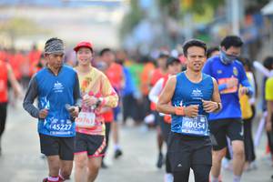 BIB: 26865, 25574
                            <button type="button" onclick="openModal(10595230)" class="btn btn-primary btn-sm float-right btn-popup" data-toggle="modal" data-target=".modal-high-quality">
                        <i class="fas fa-shopping-cart"></i> Add to Cart
                    </button>
                                            <button type="button" onclick="isThisMe(10595230, true)" class="btn btn-success btn-sm float-right btn-popup btn-isme hidden" data-toggle="tooltip" data-placement="bottom" title="นี่คือรูปของคุณใช่ไหม คลิกที่นี่เพื่อเอาเข้าอัลบั้ม">
                        <i class="fas fa-plus"></i> Add to album
                    </button>
                    <button type="button" onclick="isThisMe(10595230, false)" class="btn btn-warning btn-sm float-right btn-popup btn-isnotme hidden">
                        <i class="fas fa-ban"></i> Remove from album
                    </button>