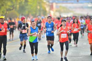 BIB: 17856, 27168, 15217
                            <button type="button" onclick="openModal(12163150)" class="btn btn-primary btn-sm float-right btn-popup" data-toggle="modal" data-target=".modal-high-quality">
                        <i class="fas fa-shopping-cart"></i> Add to Cart
                    </button>
                                            <button type="button" onclick="isThisMe(12163150, true)" class="btn btn-success btn-sm float-right btn-popup btn-isme hidden" data-toggle="tooltip" data-placement="bottom" title="นี่คือรูปของคุณใช่ไหม คลิกที่นี่เพื่อเอาเข้าอัลบั้ม">
                        <i class="fas fa-plus"></i> Add to album
                    </button>
                    <button type="button" onclick="isThisMe(12163150, false)" class="btn btn-warning btn-sm float-right btn-popup btn-isnotme hidden">
                        <i class="fas fa-ban"></i> Remove from album
                    </button>
