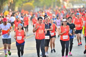 BIB: 20275, 25893, 28079
                            <button type="button" onclick="openModal(10595932)" class="btn btn-primary btn-sm float-right btn-popup" data-toggle="modal" data-target=".modal-high-quality">
                        <i class="fas fa-shopping-cart"></i> Add to Cart
                    </button>
                                            <button type="button" onclick="isThisMe(10595932, true)" class="btn btn-success btn-sm float-right btn-popup btn-isme hidden" data-toggle="tooltip" data-placement="bottom" title="นี่คือรูปของคุณใช่ไหม คลิกที่นี่เพื่อเอาเข้าอัลบั้ม">
                        <i class="fas fa-plus"></i> Add to album
                    </button>
                    <button type="button" onclick="isThisMe(10595932, false)" class="btn btn-warning btn-sm float-right btn-popup btn-isnotme hidden">
                        <i class="fas fa-ban"></i> Remove from album
                    </button>