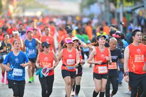 BIB: 27097, 24276
                            <button type="button" onclick="openModal(10595857)" class="btn btn-primary btn-sm float-right btn-popup" data-toggle="modal" data-target=".modal-high-quality">
                        <i class="fas fa-shopping-cart"></i> Add to Cart
                    </button>
                                            <button type="button" onclick="isThisMe(10595857, true)" class="btn btn-success btn-sm float-right btn-popup btn-isme hidden" data-toggle="tooltip" data-placement="bottom" title="นี่คือรูปของคุณใช่ไหม คลิกที่นี่เพื่อเอาเข้าอัลบั้ม">
                        <i class="fas fa-plus"></i> Add to album
                    </button>
                    <button type="button" onclick="isThisMe(10595857, false)" class="btn btn-warning btn-sm float-right btn-popup btn-isnotme hidden">
                        <i class="fas fa-ban"></i> Remove from album
                    </button>