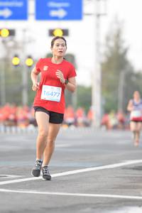BIB: 16477
                            <button type="button" onclick="openModal(12323242)" class="btn btn-primary btn-sm float-right btn-popup" data-toggle="modal" data-target=".modal-high-quality">
                        <i class="fas fa-shopping-cart"></i> Add to Cart
                    </button>
                                            <button type="button" onclick="isThisMe(12323242, true)" class="btn btn-success btn-sm float-right btn-popup btn-isme hidden" data-toggle="tooltip" data-placement="bottom" title="นี่คือรูปของคุณใช่ไหม คลิกที่นี่เพื่อเอาเข้าอัลบั้ม">
                        <i class="fas fa-plus"></i> Add to album
                    </button>
                    <button type="button" onclick="isThisMe(12323242, false)" class="btn btn-warning btn-sm float-right btn-popup btn-isnotme hidden">
                        <i class="fas fa-ban"></i> Remove from album
                    </button>