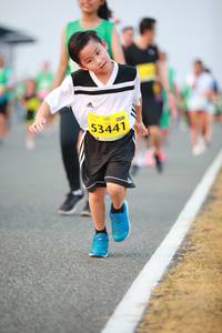 BIB: 53441
                            <button type="button" onclick="openModal(10510897)" class="btn btn-primary btn-sm float-right btn-popup" data-toggle="modal" data-target=".modal-high-quality">
                        <i class="fas fa-shopping-cart"></i> Add to Cart
                    </button>
                                            <button type="button" onclick="isThisMe(10510897, true)" class="btn btn-success btn-sm float-right btn-popup btn-isme hidden" data-toggle="tooltip" data-placement="bottom" title="นี่คือรูปของคุณใช่ไหม คลิกที่นี่เพื่อเอาเข้าอัลบั้ม">
                        <i class="fas fa-plus"></i> Add to album
                    </button>
                    <button type="button" onclick="isThisMe(10510897, false)" class="btn btn-warning btn-sm float-right btn-popup btn-isnotme hidden">
                        <i class="fas fa-ban"></i> Remove from album
                    </button>