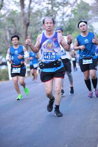 BIB: 397, 44319, 42240
                            <button type="button" onclick="openModal(11855460)" class="btn btn-primary btn-sm float-right btn-popup" data-toggle="modal" data-target=".modal-high-quality">
                        <i class="fas fa-shopping-cart"></i> Add to Cart
                    </button>
                                            <button type="button" onclick="isThisMe(11855460, true)" class="btn btn-success btn-sm float-right btn-popup btn-isme hidden" data-toggle="tooltip" data-placement="bottom" title="นี่คือรูปของคุณใช่ไหม คลิกที่นี่เพื่อเอาเข้าอัลบั้ม">
                        <i class="fas fa-plus"></i> Add to album
                    </button>
                    <button type="button" onclick="isThisMe(11855460, false)" class="btn btn-warning btn-sm float-right btn-popup btn-isnotme hidden">
                        <i class="fas fa-ban"></i> Remove from album
                    </button>