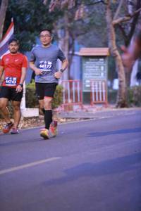 BIB: 44177, 44743
                            <button type="button" onclick="openModal(10916013)" class="btn btn-primary btn-sm float-right btn-popup" data-toggle="modal" data-target=".modal-high-quality">
                        <i class="fas fa-shopping-cart"></i> Add to Cart
                    </button>
                                            <button type="button" onclick="isThisMe(10916013, true)" class="btn btn-success btn-sm float-right btn-popup btn-isme hidden" data-toggle="tooltip" data-placement="bottom" title="นี่คือรูปของคุณใช่ไหม คลิกที่นี่เพื่อเอาเข้าอัลบั้ม">
                        <i class="fas fa-plus"></i> Add to album
                    </button>
                    <button type="button" onclick="isThisMe(10916013, false)" class="btn btn-warning btn-sm float-right btn-popup btn-isnotme hidden">
                        <i class="fas fa-ban"></i> Remove from album
                    </button>