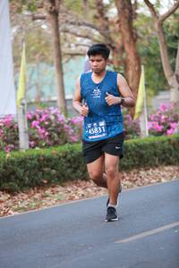 BIB: 45831
                            <button type="button" onclick="openModal(11870961)" class="btn btn-primary btn-sm float-right btn-popup" data-toggle="modal" data-target=".modal-high-quality">
                        <i class="fas fa-shopping-cart"></i> Add to Cart
                    </button>
                                            <button type="button" onclick="isThisMe(11870961, true)" class="btn btn-success btn-sm float-right btn-popup btn-isme hidden" data-toggle="tooltip" data-placement="bottom" title="นี่คือรูปของคุณใช่ไหม คลิกที่นี่เพื่อเอาเข้าอัลบั้ม">
                        <i class="fas fa-plus"></i> Add to album
                    </button>
                    <button type="button" onclick="isThisMe(11870961, false)" class="btn btn-warning btn-sm float-right btn-popup btn-isnotme hidden">
                        <i class="fas fa-ban"></i> Remove from album
                    </button>