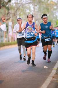 BIB: 40397, 44319, 42240
                            <button type="button" onclick="openModal(10616496)" class="btn btn-primary btn-sm float-right btn-popup" data-toggle="modal" data-target=".modal-high-quality">
                        <i class="fas fa-shopping-cart"></i> Add to Cart
                    </button>
                                            <button type="button" onclick="isThisMe(10616496, true)" class="btn btn-success btn-sm float-right btn-popup btn-isme hidden" data-toggle="tooltip" data-placement="bottom" title="นี่คือรูปของคุณใช่ไหม คลิกที่นี่เพื่อเอาเข้าอัลบั้ม">
                        <i class="fas fa-plus"></i> Add to album
                    </button>
                    <button type="button" onclick="isThisMe(10616496, false)" class="btn btn-warning btn-sm float-right btn-popup btn-isnotme hidden">
                        <i class="fas fa-ban"></i> Remove from album
                    </button>