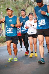BIB: 45953, 443, 41447, 582, 43086
                            <button type="button" onclick="openModal(10624132)" class="btn btn-primary btn-sm float-right btn-popup" data-toggle="modal" data-target=".modal-high-quality">
                        <i class="fas fa-shopping-cart"></i> Add to Cart
                    </button>
                                            <button type="button" onclick="isThisMe(10624132, true)" class="btn btn-success btn-sm float-right btn-popup btn-isme hidden" data-toggle="tooltip" data-placement="bottom" title="นี่คือรูปของคุณใช่ไหม คลิกที่นี่เพื่อเอาเข้าอัลบั้ม">
                        <i class="fas fa-plus"></i> Add to album
                    </button>
                    <button type="button" onclick="isThisMe(10624132, false)" class="btn btn-warning btn-sm float-right btn-popup btn-isnotme hidden">
                        <i class="fas fa-ban"></i> Remove from album
                    </button>
