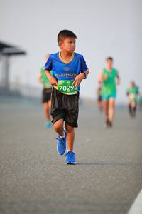 BIB: 70295
                            <button type="button" onclick="openModal(10483579)" class="btn btn-primary btn-sm float-right btn-popup" data-toggle="modal" data-target=".modal-high-quality">
                        <i class="fas fa-shopping-cart"></i> Add to Cart
                    </button>
                                            <button type="button" onclick="isThisMe(10483579, true)" class="btn btn-success btn-sm float-right btn-popup btn-isme hidden" data-toggle="tooltip" data-placement="bottom" title="นี่คือรูปของคุณใช่ไหม คลิกที่นี่เพื่อเอาเข้าอัลบั้ม">
                        <i class="fas fa-plus"></i> Add to album
                    </button>
                    <button type="button" onclick="isThisMe(10483579, false)" class="btn btn-warning btn-sm float-right btn-popup btn-isnotme hidden">
                        <i class="fas fa-ban"></i> Remove from album
                    </button>