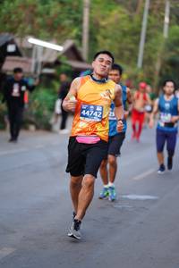 BIB: 44742
                            <button type="button" onclick="openModal(10605204)" class="btn btn-primary btn-sm float-right btn-popup" data-toggle="modal" data-target=".modal-high-quality">
                        <i class="fas fa-shopping-cart"></i> Add to Cart
                    </button>
                                            <button type="button" onclick="isThisMe(10605204, true)" class="btn btn-success btn-sm float-right btn-popup btn-isme hidden" data-toggle="tooltip" data-placement="bottom" title="นี่คือรูปของคุณใช่ไหม คลิกที่นี่เพื่อเอาเข้าอัลบั้ม">
                        <i class="fas fa-plus"></i> Add to album
                    </button>
                    <button type="button" onclick="isThisMe(10605204, false)" class="btn btn-warning btn-sm float-right btn-popup btn-isnotme hidden">
                        <i class="fas fa-ban"></i> Remove from album
                    </button>