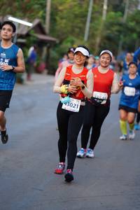 BIB: 43021, 
                            <button type="button" onclick="openModal(10609223)" class="btn btn-primary btn-sm float-right btn-popup" data-toggle="modal" data-target=".modal-high-quality">
                        <i class="fas fa-shopping-cart"></i> Add to Cart
                    </button>
                                            <button type="button" onclick="isThisMe(10609223, true)" class="btn btn-success btn-sm float-right btn-popup btn-isme hidden" data-toggle="tooltip" data-placement="bottom" title="นี่คือรูปของคุณใช่ไหม คลิกที่นี่เพื่อเอาเข้าอัลบั้ม">
                        <i class="fas fa-plus"></i> Add to album
                    </button>
                    <button type="button" onclick="isThisMe(10609223, false)" class="btn btn-warning btn-sm float-right btn-popup btn-isnotme hidden">
                        <i class="fas fa-ban"></i> Remove from album
                    </button>