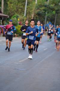 BIB: 41243
                            <button type="button" onclick="openModal(10613055)" class="btn btn-primary btn-sm float-right btn-popup" data-toggle="modal" data-target=".modal-high-quality">
                        <i class="fas fa-shopping-cart"></i> Add to Cart
                    </button>
                                            <button type="button" onclick="isThisMe(10613055, true)" class="btn btn-success btn-sm float-right btn-popup btn-isme hidden" data-toggle="tooltip" data-placement="bottom" title="นี่คือรูปของคุณใช่ไหม คลิกที่นี่เพื่อเอาเข้าอัลบั้ม">
                        <i class="fas fa-plus"></i> Add to album
                    </button>
                    <button type="button" onclick="isThisMe(10613055, false)" class="btn btn-warning btn-sm float-right btn-popup btn-isnotme hidden">
                        <i class="fas fa-ban"></i> Remove from album
                    </button>
