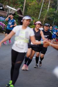 BIB: 42560
                            <button type="button" onclick="openModal(10605797)" class="btn btn-primary btn-sm float-right btn-popup" data-toggle="modal" data-target=".modal-high-quality">
                        <i class="fas fa-shopping-cart"></i> Add to Cart
                    </button>
                                            <button type="button" onclick="isThisMe(10605797, true)" class="btn btn-success btn-sm float-right btn-popup btn-isme hidden" data-toggle="tooltip" data-placement="bottom" title="นี่คือรูปของคุณใช่ไหม คลิกที่นี่เพื่อเอาเข้าอัลบั้ม">
                        <i class="fas fa-plus"></i> Add to album
                    </button>
                    <button type="button" onclick="isThisMe(10605797, false)" class="btn btn-warning btn-sm float-right btn-popup btn-isnotme hidden">
                        <i class="fas fa-ban"></i> Remove from album
                    </button>