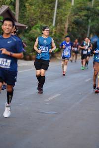 BIB: 45114, 11243
                            <button type="button" onclick="openModal(10613073)" class="btn btn-primary btn-sm float-right btn-popup" data-toggle="modal" data-target=".modal-high-quality">
                        <i class="fas fa-shopping-cart"></i> Add to Cart
                    </button>
                                            <button type="button" onclick="isThisMe(10613073, true)" class="btn btn-success btn-sm float-right btn-popup btn-isme hidden" data-toggle="tooltip" data-placement="bottom" title="นี่คือรูปของคุณใช่ไหม คลิกที่นี่เพื่อเอาเข้าอัลบั้ม">
                        <i class="fas fa-plus"></i> Add to album
                    </button>
                    <button type="button" onclick="isThisMe(10613073, false)" class="btn btn-warning btn-sm float-right btn-popup btn-isnotme hidden">
                        <i class="fas fa-ban"></i> Remove from album
                    </button>