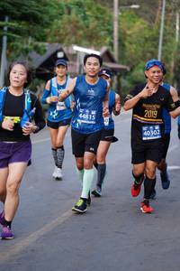 BIB: 2019, 44815, 40302, 
                            <button type="button" onclick="openModal(10602267)" class="btn btn-primary btn-sm float-right btn-popup" data-toggle="modal" data-target=".modal-high-quality">
                        <i class="fas fa-shopping-cart"></i> Add to Cart
                    </button>
                                            <button type="button" onclick="isThisMe(10602267, true)" class="btn btn-success btn-sm float-right btn-popup btn-isme hidden" data-toggle="tooltip" data-placement="bottom" title="นี่คือรูปของคุณใช่ไหม คลิกที่นี่เพื่อเอาเข้าอัลบั้ม">
                        <i class="fas fa-plus"></i> Add to album
                    </button>
                    <button type="button" onclick="isThisMe(10602267, false)" class="btn btn-warning btn-sm float-right btn-popup btn-isnotme hidden">
                        <i class="fas fa-ban"></i> Remove from album
                    </button>