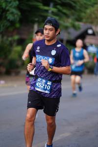 BIB: 45210
                            <button type="button" onclick="openModal(10597851)" class="btn btn-primary btn-sm float-right btn-popup" data-toggle="modal" data-target=".modal-high-quality">
                        <i class="fas fa-shopping-cart"></i> Add to Cart
                    </button>
                                            <button type="button" onclick="isThisMe(10597851, true)" class="btn btn-success btn-sm float-right btn-popup btn-isme hidden" data-toggle="tooltip" data-placement="bottom" title="นี่คือรูปของคุณใช่ไหม คลิกที่นี่เพื่อเอาเข้าอัลบั้ม">
                        <i class="fas fa-plus"></i> Add to album
                    </button>
                    <button type="button" onclick="isThisMe(10597851, false)" class="btn btn-warning btn-sm float-right btn-popup btn-isnotme hidden">
                        <i class="fas fa-ban"></i> Remove from album
                    </button>