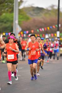 BIB: 21587, 82003
                            <button type="button" onclick="openModal(12873814)" class="btn btn-primary btn-sm float-right btn-popup" data-toggle="modal" data-target=".modal-high-quality">
                        <i class="fas fa-shopping-cart"></i> Add to Cart
                    </button>
                                            <button type="button" onclick="isThisMe(12873814, true)" class="btn btn-success btn-sm float-right btn-popup btn-isme hidden" data-toggle="tooltip" data-placement="bottom" title="นี่คือรูปของคุณใช่ไหม คลิกที่นี่เพื่อเอาเข้าอัลบั้ม">
                        <i class="fas fa-plus"></i> Add to album
                    </button>
                    <button type="button" onclick="isThisMe(12873814, false)" class="btn btn-warning btn-sm float-right btn-popup btn-isnotme hidden">
                        <i class="fas fa-ban"></i> Remove from album
                    </button>