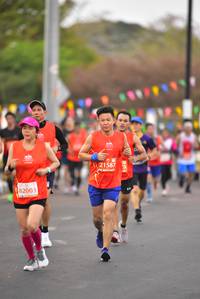 BIB: 215875, 82003
                            <button type="button" onclick="openModal(12873816)" class="btn btn-primary btn-sm float-right btn-popup" data-toggle="modal" data-target=".modal-high-quality">
                        <i class="fas fa-shopping-cart"></i> Add to Cart
                    </button>
                                            <button type="button" onclick="isThisMe(12873816, true)" class="btn btn-success btn-sm float-right btn-popup btn-isme hidden" data-toggle="tooltip" data-placement="bottom" title="นี่คือรูปของคุณใช่ไหม คลิกที่นี่เพื่อเอาเข้าอัลบั้ม">
                        <i class="fas fa-plus"></i> Add to album
                    </button>
                    <button type="button" onclick="isThisMe(12873816, false)" class="btn btn-warning btn-sm float-right btn-popup btn-isnotme hidden">
                        <i class="fas fa-ban"></i> Remove from album
                    </button>