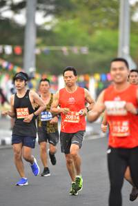 BIB: 30703, 20814
                            <button type="button" onclick="openModal(12874777)" class="btn btn-primary btn-sm float-right btn-popup" data-toggle="modal" data-target=".modal-high-quality">
                        <i class="fas fa-shopping-cart"></i> Add to Cart
                    </button>
                                            <button type="button" onclick="isThisMe(12874777, true)" class="btn btn-success btn-sm float-right btn-popup btn-isme hidden" data-toggle="tooltip" data-placement="bottom" title="นี่คือรูปของคุณใช่ไหม คลิกที่นี่เพื่อเอาเข้าอัลบั้ม">
                        <i class="fas fa-plus"></i> Add to album
                    </button>
                    <button type="button" onclick="isThisMe(12874777, false)" class="btn btn-warning btn-sm float-right btn-popup btn-isnotme hidden">
                        <i class="fas fa-ban"></i> Remove from album
                    </button>