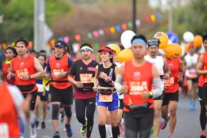 BIB: 27856, 22675, 20720, 20884, 27367
                            <button type="button" onclick="openModal(12874683)" class="btn btn-primary btn-sm float-right btn-popup" data-toggle="modal" data-target=".modal-high-quality">
                        <i class="fas fa-shopping-cart"></i> Add to Cart
                    </button>
                                            <button type="button" onclick="isThisMe(12874683, true)" class="btn btn-success btn-sm float-right btn-popup btn-isme hidden" data-toggle="tooltip" data-placement="bottom" title="นี่คือรูปของคุณใช่ไหม คลิกที่นี่เพื่อเอาเข้าอัลบั้ม">
                        <i class="fas fa-plus"></i> Add to album
                    </button>
                    <button type="button" onclick="isThisMe(12874683, false)" class="btn btn-warning btn-sm float-right btn-popup btn-isnotme hidden">
                        <i class="fas fa-ban"></i> Remove from album
                    </button>