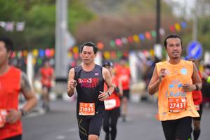 BIB: 27431, 21033
                            <button type="button" onclick="openModal(12873939)" class="btn btn-primary btn-sm float-right btn-popup" data-toggle="modal" data-target=".modal-high-quality">
                        <i class="fas fa-shopping-cart"></i> Add to Cart
                    </button>
                                            <button type="button" onclick="isThisMe(12873939, true)" class="btn btn-success btn-sm float-right btn-popup btn-isme hidden" data-toggle="tooltip" data-placement="bottom" title="นี่คือรูปของคุณใช่ไหม คลิกที่นี่เพื่อเอาเข้าอัลบั้ม">
                        <i class="fas fa-plus"></i> Add to album
                    </button>
                    <button type="button" onclick="isThisMe(12873939, false)" class="btn btn-warning btn-sm float-right btn-popup btn-isnotme hidden">
                        <i class="fas fa-ban"></i> Remove from album
                    </button>