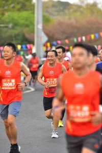 BIB: 6757, 26087
                            <button type="button" onclick="openModal(12875502)" class="btn btn-primary btn-sm float-right btn-popup" data-toggle="modal" data-target=".modal-high-quality">
                        <i class="fas fa-shopping-cart"></i> Add to Cart
                    </button>
                                            <button type="button" onclick="isThisMe(12875502, true)" class="btn btn-success btn-sm float-right btn-popup btn-isme hidden" data-toggle="tooltip" data-placement="bottom" title="นี่คือรูปของคุณใช่ไหม คลิกที่นี่เพื่อเอาเข้าอัลบั้ม">
                        <i class="fas fa-plus"></i> Add to album
                    </button>
                    <button type="button" onclick="isThisMe(12875502, false)" class="btn btn-warning btn-sm float-right btn-popup btn-isnotme hidden">
                        <i class="fas fa-ban"></i> Remove from album
                    </button>