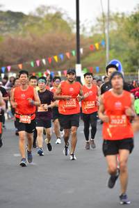 BIB: 22272, 26094, 265, 26643, 20221
                            <button type="button" onclick="openModal(12877125)" class="btn btn-primary btn-sm float-right btn-popup" data-toggle="modal" data-target=".modal-high-quality">
                        <i class="fas fa-shopping-cart"></i> Add to Cart
                    </button>
                                            <button type="button" onclick="isThisMe(12877125, true)" class="btn btn-success btn-sm float-right btn-popup btn-isme hidden" data-toggle="tooltip" data-placement="bottom" title="นี่คือรูปของคุณใช่ไหม คลิกที่นี่เพื่อเอาเข้าอัลบั้ม">
                        <i class="fas fa-plus"></i> Add to album
                    </button>
                    <button type="button" onclick="isThisMe(12877125, false)" class="btn btn-warning btn-sm float-right btn-popup btn-isnotme hidden">
                        <i class="fas fa-ban"></i> Remove from album
                    </button>