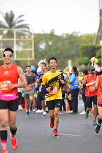 BIB: 269, 6422, 7009
                            <button type="button" onclick="openModal(12876887)" class="btn btn-primary btn-sm float-right btn-popup" data-toggle="modal" data-target=".modal-high-quality">
                        <i class="fas fa-shopping-cart"></i> Add to Cart
                    </button>
                                            <button type="button" onclick="isThisMe(12876887, true)" class="btn btn-success btn-sm float-right btn-popup btn-isme hidden" data-toggle="tooltip" data-placement="bottom" title="นี่คือรูปของคุณใช่ไหม คลิกที่นี่เพื่อเอาเข้าอัลบั้ม">
                        <i class="fas fa-plus"></i> Add to album
                    </button>
                    <button type="button" onclick="isThisMe(12876887, false)" class="btn btn-warning btn-sm float-right btn-popup btn-isnotme hidden">
                        <i class="fas fa-ban"></i> Remove from album
                    </button>