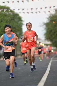 BIB: 25979, 377
                            <button type="button" onclick="openModal(11218762)" class="btn btn-primary btn-sm float-right btn-popup" data-toggle="modal" data-target=".modal-high-quality">
                        <i class="fas fa-shopping-cart"></i> Add to Cart
                    </button>
                                            <button type="button" onclick="isThisMe(11218762, true)" class="btn btn-success btn-sm float-right btn-popup btn-isme hidden" data-toggle="tooltip" data-placement="bottom" title="นี่คือรูปของคุณใช่ไหม คลิกที่นี่เพื่อเอาเข้าอัลบั้ม">
                        <i class="fas fa-plus"></i> Add to album
                    </button>
                    <button type="button" onclick="isThisMe(11218762, false)" class="btn btn-warning btn-sm float-right btn-popup btn-isnotme hidden">
                        <i class="fas fa-ban"></i> Remove from album
                    </button>
