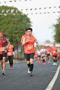 BIB: 26002, 21121
                            <button type="button" onclick="openModal(11265122)" class="btn btn-primary btn-sm float-right btn-popup" data-toggle="modal" data-target=".modal-high-quality">
                        <i class="fas fa-shopping-cart"></i> Add to Cart
                    </button>
                                            <button type="button" onclick="isThisMe(11265122, true)" class="btn btn-success btn-sm float-right btn-popup btn-isme hidden" data-toggle="tooltip" data-placement="bottom" title="นี่คือรูปของคุณใช่ไหม คลิกที่นี่เพื่อเอาเข้าอัลบั้ม">
                        <i class="fas fa-plus"></i> Add to album
                    </button>
                    <button type="button" onclick="isThisMe(11265122, false)" class="btn btn-warning btn-sm float-right btn-popup btn-isnotme hidden">
                        <i class="fas fa-ban"></i> Remove from album
                    </button>