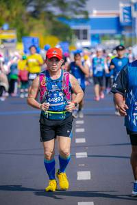 BIB: 2020, 211, 42195, 20736
                            <button type="button" onclick="openModal(10534363)" class="btn btn-primary btn-sm float-right btn-popup" data-toggle="modal" data-target=".modal-high-quality">
                        <i class="fas fa-shopping-cart"></i> Add to Cart
                    </button>
                                            <button type="button" onclick="isThisMe(10534363, true)" class="btn btn-success btn-sm float-right btn-popup btn-isme hidden" data-toggle="tooltip" data-placement="bottom" title="นี่คือรูปของคุณใช่ไหม คลิกที่นี่เพื่อเอาเข้าอัลบั้ม">
                        <i class="fas fa-plus"></i> Add to album
                    </button>
                    <button type="button" onclick="isThisMe(10534363, false)" class="btn btn-warning btn-sm float-right btn-popup btn-isnotme hidden">
                        <i class="fas fa-ban"></i> Remove from album
                    </button>