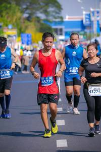 BIB: 000, 42195, 211
                            <button type="button" onclick="openModal(10534575)" class="btn btn-primary btn-sm float-right btn-popup" data-toggle="modal" data-target=".modal-high-quality">
                        <i class="fas fa-shopping-cart"></i> Add to Cart
                    </button>
                                            <button type="button" onclick="isThisMe(10534575, true)" class="btn btn-success btn-sm float-right btn-popup btn-isme hidden" data-toggle="tooltip" data-placement="bottom" title="นี่คือรูปของคุณใช่ไหม คลิกที่นี่เพื่อเอาเข้าอัลบั้ม">
                        <i class="fas fa-plus"></i> Add to album
                    </button>
                    <button type="button" onclick="isThisMe(10534575, false)" class="btn btn-warning btn-sm float-right btn-popup btn-isnotme hidden">
                        <i class="fas fa-ban"></i> Remove from album
                    </button>