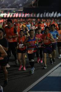 BIB: 216, 83219, 20705, 2019, 21108
                            <button type="button" onclick="openModal(11282818)" class="btn btn-primary btn-sm float-right btn-popup" data-toggle="modal" data-target=".modal-high-quality">
                        <i class="fas fa-shopping-cart"></i> Add to Cart
                    </button>
                                            <button type="button" onclick="isThisMe(11282818, true)" class="btn btn-success btn-sm float-right btn-popup btn-isme hidden" data-toggle="tooltip" data-placement="bottom" title="นี่คือรูปของคุณใช่ไหม คลิกที่นี่เพื่อเอาเข้าอัลบั้ม">
                        <i class="fas fa-plus"></i> Add to album
                    </button>
                    <button type="button" onclick="isThisMe(11282818, false)" class="btn btn-warning btn-sm float-right btn-popup btn-isnotme hidden">
                        <i class="fas fa-ban"></i> Remove from album
                    </button>