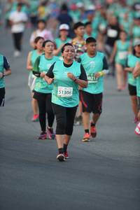 BIB: 021, 51306
                            <button type="button" onclick="openModal(10510186)" class="btn btn-primary btn-sm float-right btn-popup" data-toggle="modal" data-target=".modal-high-quality">
                        <i class="fas fa-shopping-cart"></i> Add to Cart
                    </button>
                                            <button type="button" onclick="isThisMe(10510186, true)" class="btn btn-success btn-sm float-right btn-popup btn-isme hidden" data-toggle="tooltip" data-placement="bottom" title="นี่คือรูปของคุณใช่ไหม คลิกที่นี่เพื่อเอาเข้าอัลบั้ม">
                        <i class="fas fa-plus"></i> Add to album
                    </button>
                    <button type="button" onclick="isThisMe(10510186, false)" class="btn btn-warning btn-sm float-right btn-popup btn-isnotme hidden">
                        <i class="fas fa-ban"></i> Remove from album
                    </button>